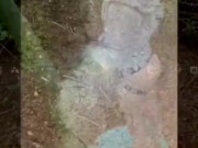 PREVIEW - ONLYFANS- DOWN IN THE WOODS