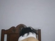 Quiero que me pongas así en cuatro y me folles dándome nalgadas eso me pone muy cachonda