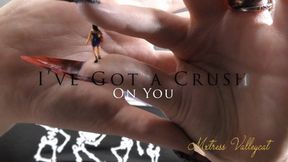 I've Got a Crush on You (wmv)