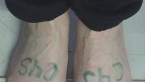 BLOND HARDWOOD FLOOR ROOM SEPERATAR