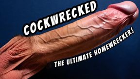 COCKWRECKED Homewrecking Homewrecker Encouraged GAY