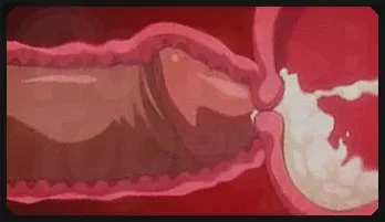 Uncensored Hentai: 100 Creampies Marathon HD streaming