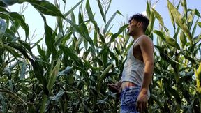 Summer Jerk off in Corn Field - Twitching Cumming Cock