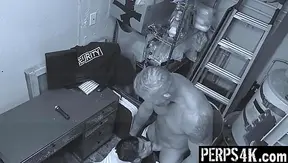 From Deceit to Desire: Apollo Takes Hard Punishment Fuck – Perps4k