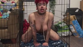 puppies that touch without permission need to be punished !