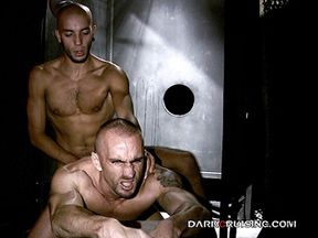 The Call of the Cock