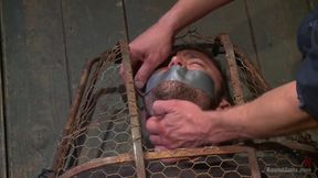Powerless and Caged Like an Animal