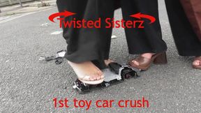 Twisted Sisterz crush big remote control toy car