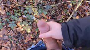 Close encounter handjob on the hiking trail