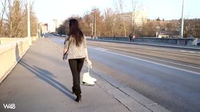 Ice Skater