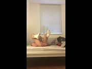 Sub with dirty Socks shows his Cunt