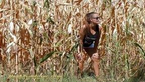 Pee in a corn field