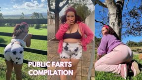 Public Farts Compilation in The Streets, Hiking and Camping Risky and Ass Flashing
