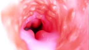Solo beauty moans wild as big cock dives deep into her juicy anal hole