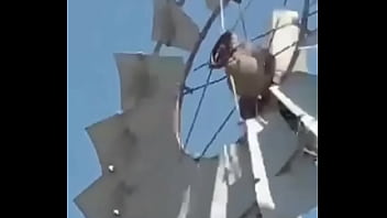 video para reirse, pobre hornerito