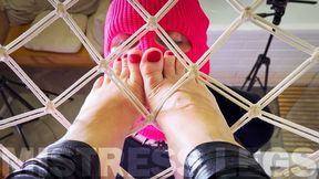 Hammock Goddess Worship Part 1 - POV Toe Sucking And Slave Tongue Service Under My Feet (MP4 HD)