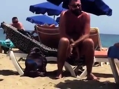 Str8 spy daddy bear at the beach