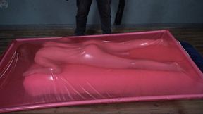 Flogging in a pink vacuum bed with vibro