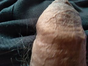 gay young cock enjoying and excited