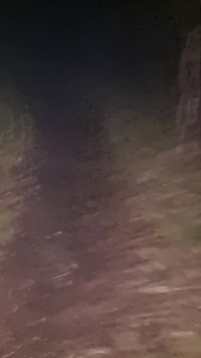 Night-time walk, public, woods, full body stocking lingerie men