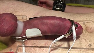 Subject L cock estim precum