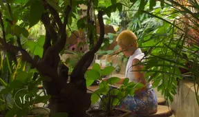 Seductive Stranger: Intense Afternoon with a Mysterious Asian Beauty While Her Boyfriend’s Away ????