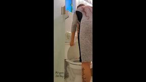 Grey Dress Bathroom Break HD WMV