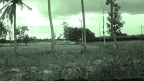 indian village aunty boobs oudoor sex