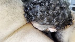 4-hand Bear Massage