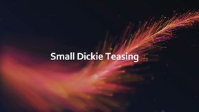 Small Dickie Teasing