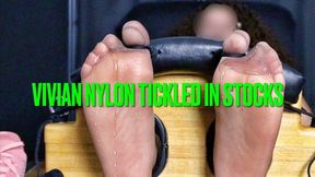 Vivian Nylon Tickled in Stocks