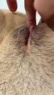 POV Close Up Hairy Pussy - Scooping Out Creamy Ovulation Mucus
