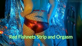 Red Fishnets Strip and Vibrator Orgasm