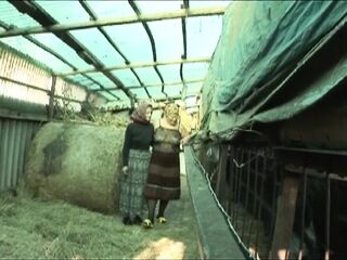 Orhidea the Doxy Pig (film)