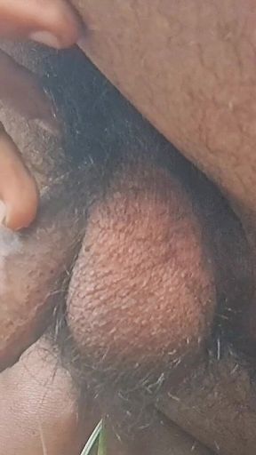 Desi Hot Indian Boy Pissing From His Big Dick in the Jungle.