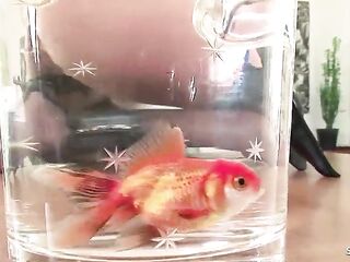 Insane hairless head female Boss seduce Black Monster Dong Worker to Interracial Deep Bang at Office