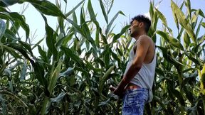 Summer Jerk off in Corn Field - Twitching Cumming Cock