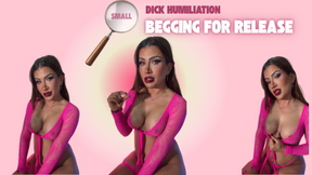 Small Dick Humiliation: Begging for Release