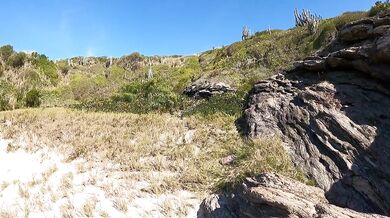 This hot blonde can not see a beach that wants to make love!