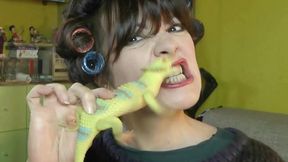 Hate for a stupid pet