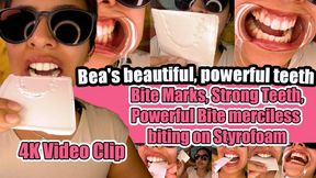 4k | Mouth Fetish Highlight: Bea Shows Off Her Flawless White Teeth and Powerful Biters – Lip Retractor Close-Up, Intense Styrofoam Bite Marks, Crunching Grinding, Dangerous Biting – Teeth Fetish, Strong Teeth, Powerful Bite, Deep Tooth Impr