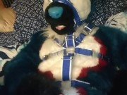 Pawing off in a harness