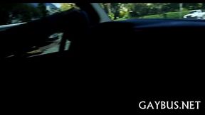 Free ball batter during wild gay sex