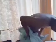 Ligo muna bago jakol