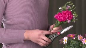 Rina Yoshitaka's First Intimate Experience as a Married Woman Recorded Live