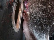 Daddy Tyler1700 and Hung Ginger (Fuzzylilbro) take turns breeding and feeding me