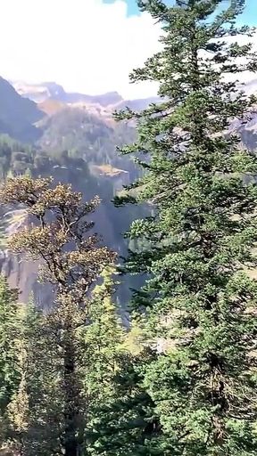 Blowjob and Doggy Fuck for Petite Redhead on Mountain Hike