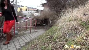 ”Compilation of pee fail scenes from got2pee”