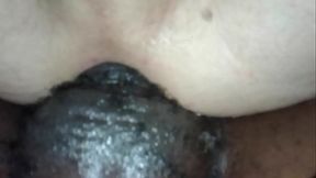 FROM MY STABLE THEY SAY