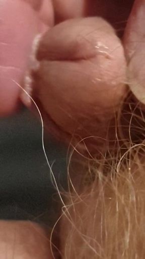 My Tiny Dick, Wet